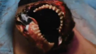 Not even the best butt cream can soothe this Roid Rage — watch the trailer